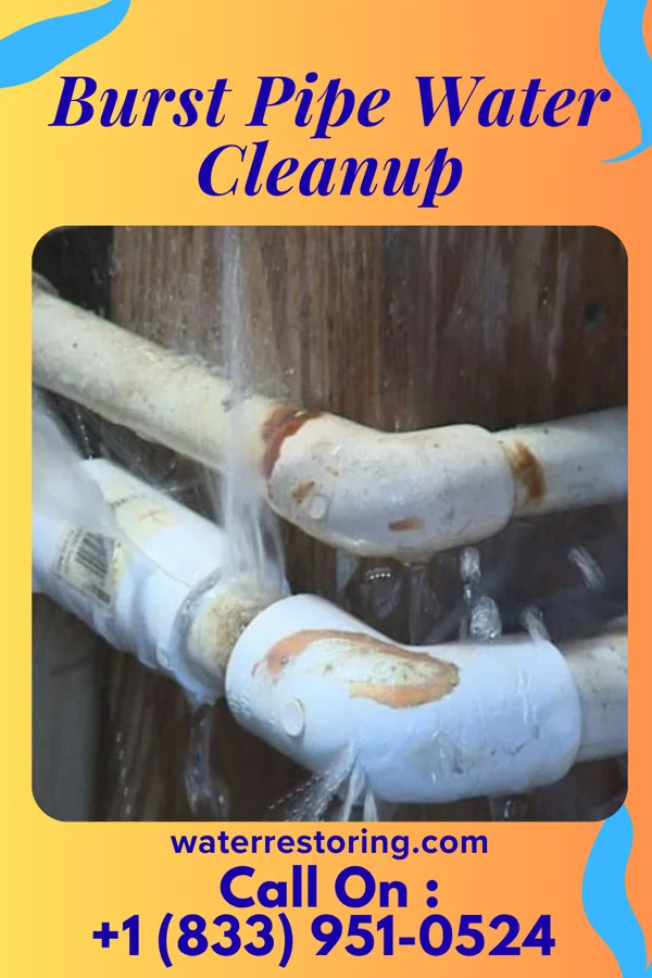 Burst Pipe Water Cleanup in Killen, AL